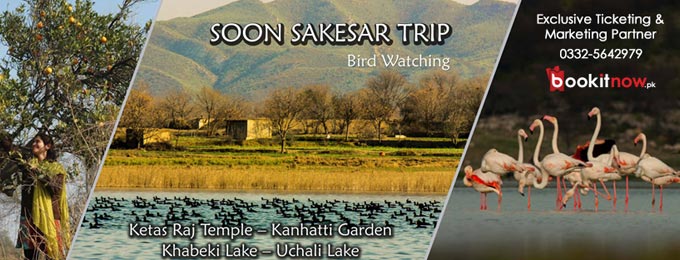Bird Watching - Soon Valley