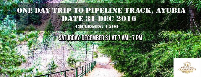1 Day trip to Pipeline Track Ayubia